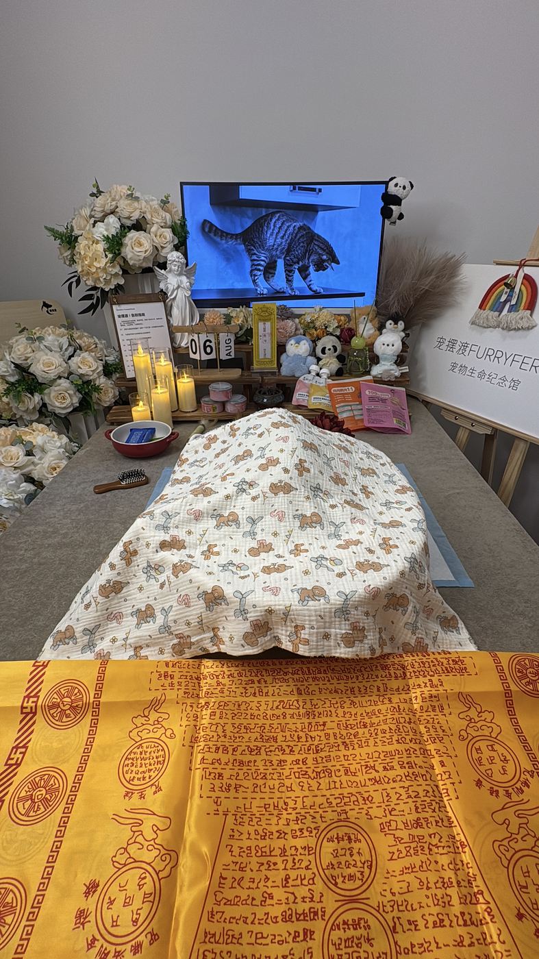 为宠物准备的纪念空间